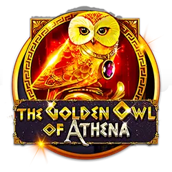 bingo plus rewards how to use sportsbook free bet